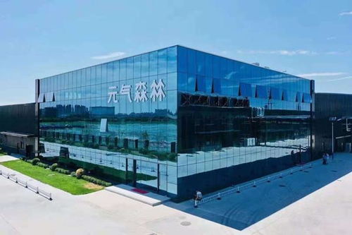 研發驅動，品質為王 元氣森林如何通過市場調研鑄造更好的產品