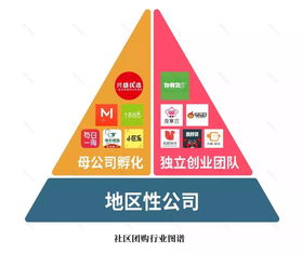 起底社區團購 起源 激戰與終局