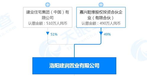 洛陽王城橋北cbd建業(yè)洛神廣場,背后 靠山 實(shí)力雄厚